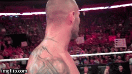 thevipersgirl:  Being in a Ring with Orton and getting a RKO :D