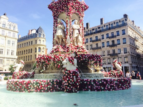 queens-in-exile:Le Festival Mondial des Roses, Fontaine des Jacobins (mai 2015)