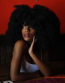 naturalhairqueens:fro!