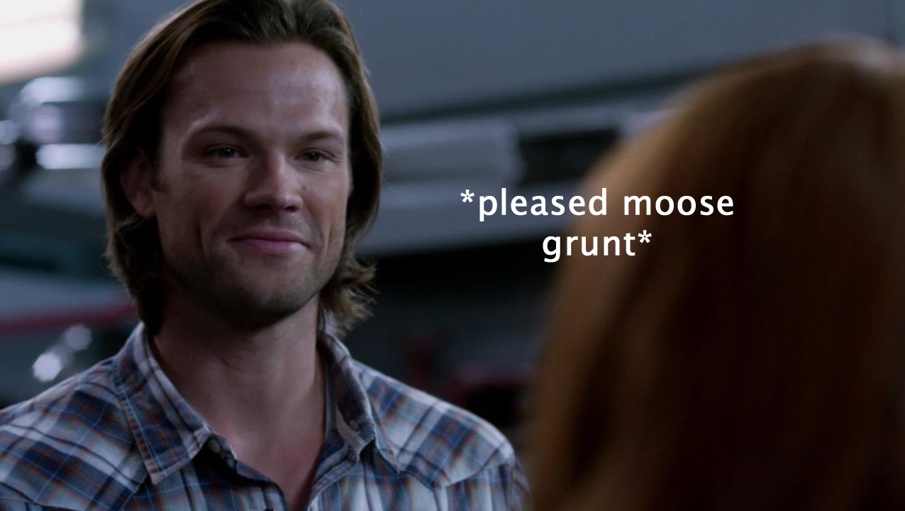 fandommember:  shadowstar13:  supernaturally-marvelous:  vanconcastiel:  Internally