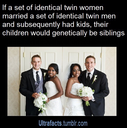 ultrafacts:  More facts? Visit the Ultrafacts Blog 
