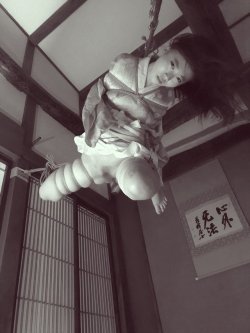 justscreenshots:Shibari & Photo Shigonawa