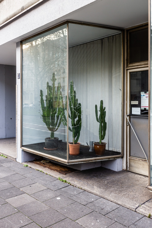 dashalbrundezimmer:hansaring // köln agnesviertelmid-century modern door and store front