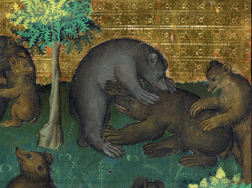 #bear threesomeGaston Phoebus, Le Livre de la chasse, Paris ca. 1407.NY, Morgan, MS M. 1044, fol. 18