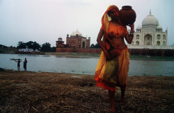 fotojournalismus:  Taj Mahal, Agra, 1985.Photographs by Raghu Rai