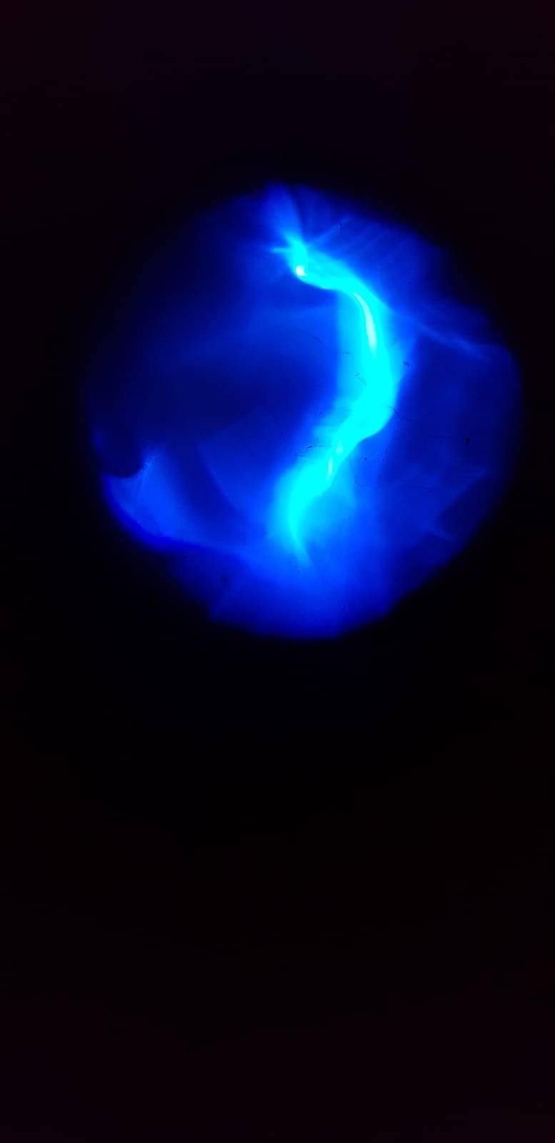 Anyone Wants To See A Glowing DNA Molecule??