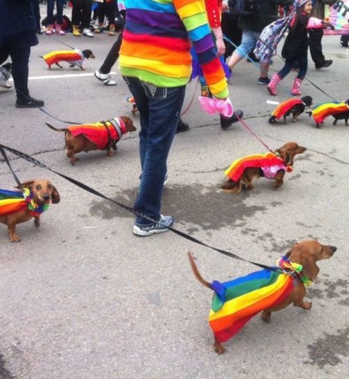 Mods Are Asleep, Post Pride Sosigs.