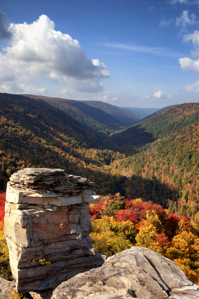 brutalgeneration:  a little bit longer (by Roots|Photography) 