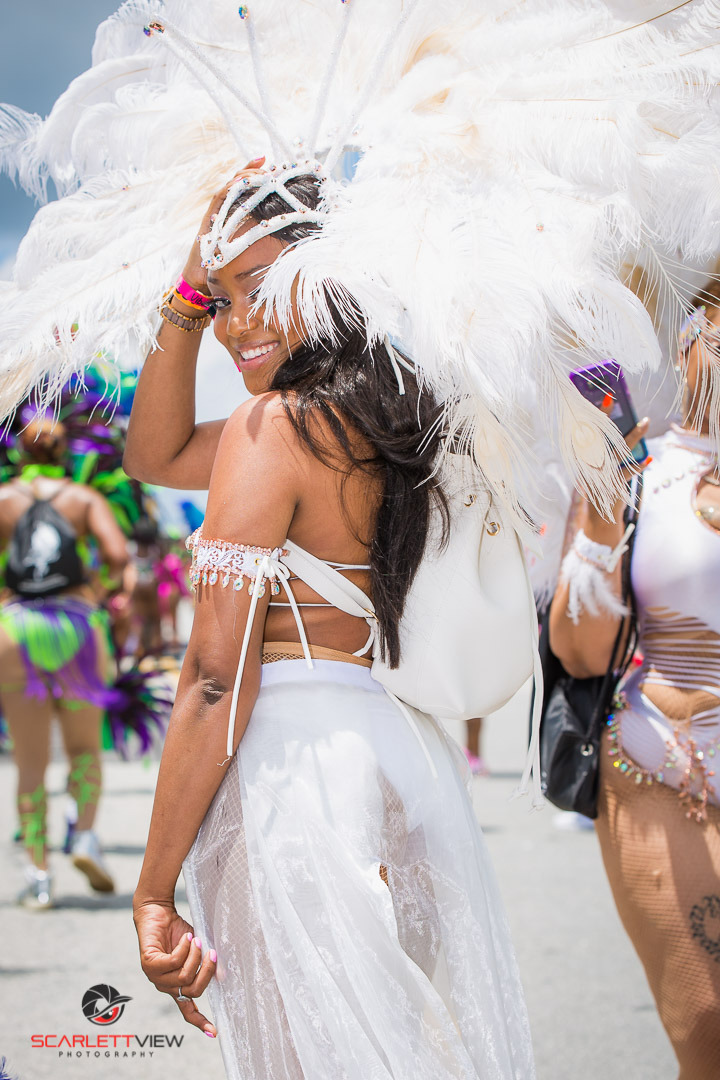 Some of the absolutely beautiful women and costumes of Atlanta Carnival 2018!!