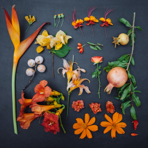 XXX etsy:  The Garden Collection by Emily Blinco photo