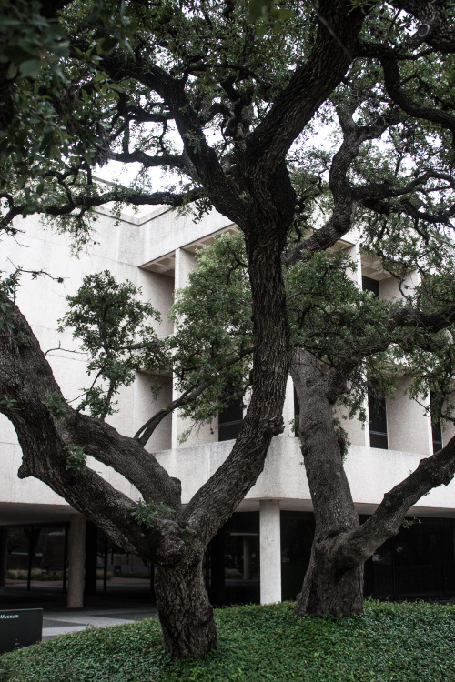 hjaltigud: LBJ Presidential Library, Austin, Texas Architects: Skidmore, Owings &amp; Merrill Ma