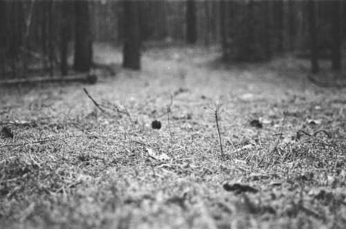 film from October'21 - SuppleNikon F-301, Zoom-Nikkor 35~70 Тасма Type-42Л 200/36 push+1Perm