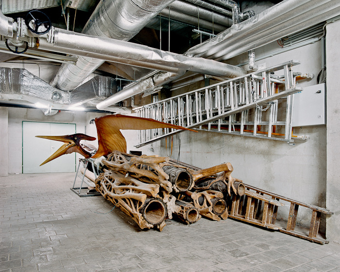 likeafieldmouse:  Klaus Pichler - Skeletons in the Closet: Museum of Natural History,