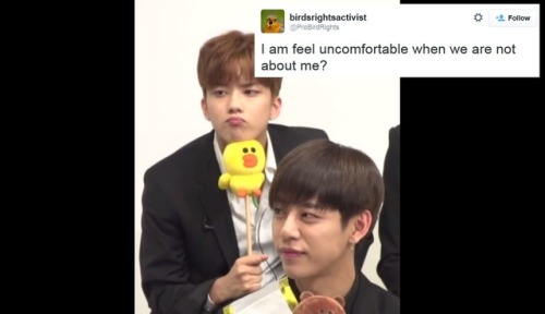 doitforbangyongguk: B.A.P | text post meme | 3/∞yoo youngjae + birdsrightsactivist edition 