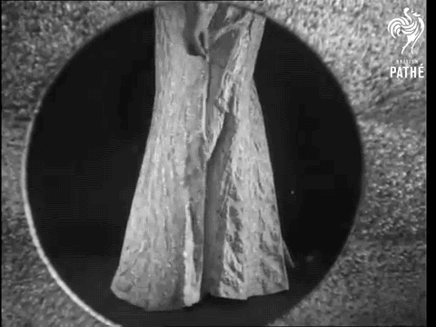gameraboy:  Stockings (1939) by British Pathé