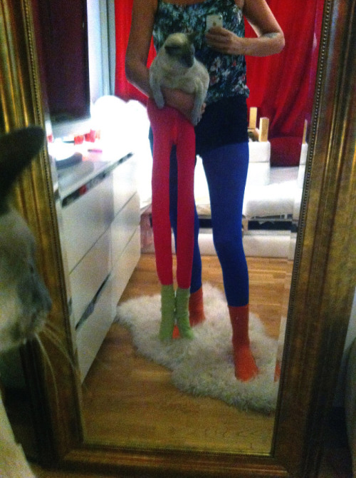 tastefullyoffensive:  Cats Wearing Tights adult photos