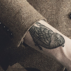 mrs. malik ♡