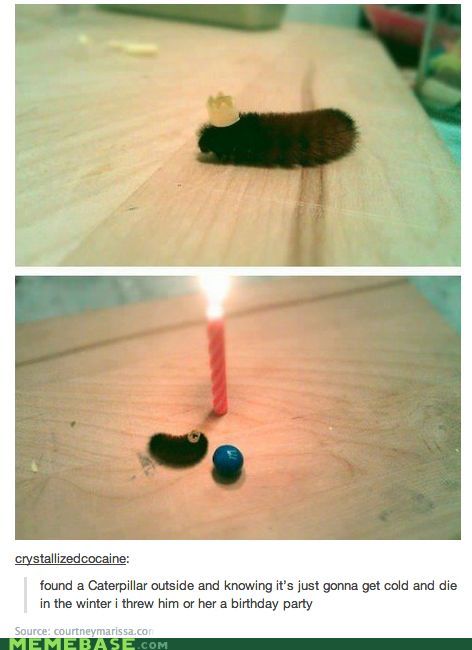 itsstuckyinmyhead:  Epic Tales By Tumblr Bloggers