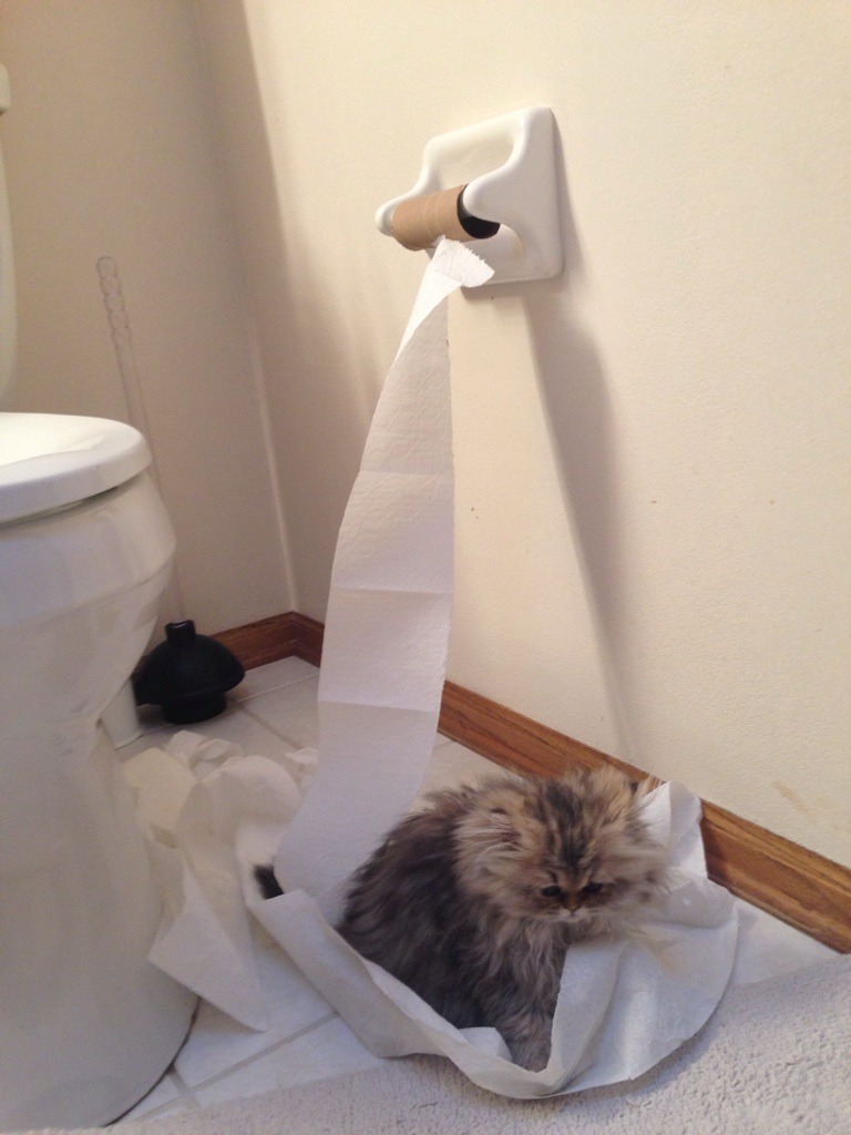 lolfactory:  Leave the room for one minute… - funny tumblr - lol rofl wtf pics