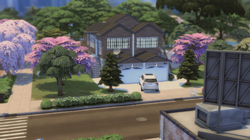 Look At Meeee I Got A Lil Neighborhood Going.