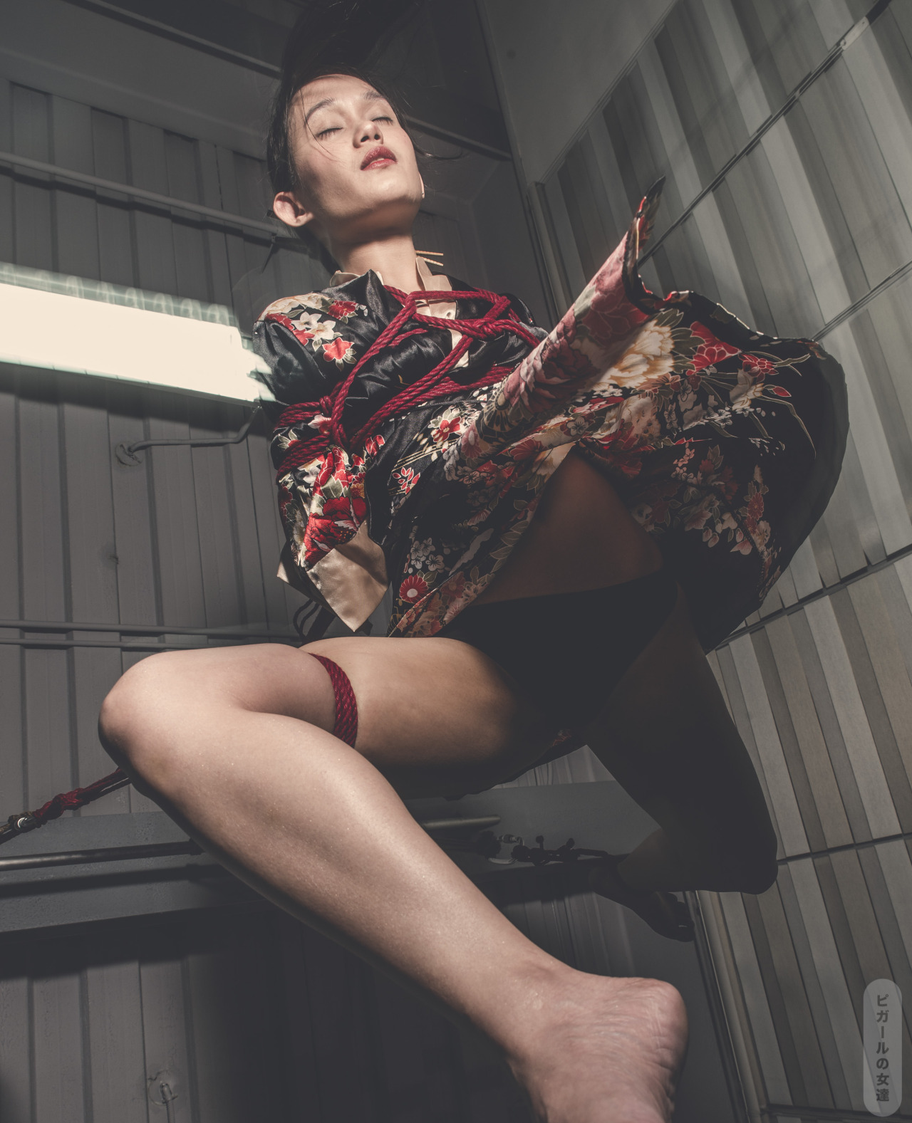 lesfillesdepigalle:  The butterfly effectPart TwoBunny : Emma CeeRigger : t0ni