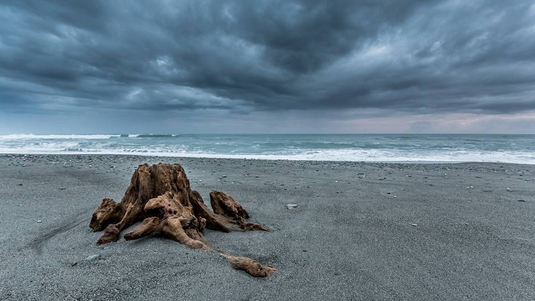 Barren Coast 🗾🗾🗾 This epic scene was found on the exposed west coast of New Zealand’s South Island. The remains of a fallen tree had come to rest in the sand. I camped nearby the night before, arriving in darkness - a 20 minute drive down a gravel...