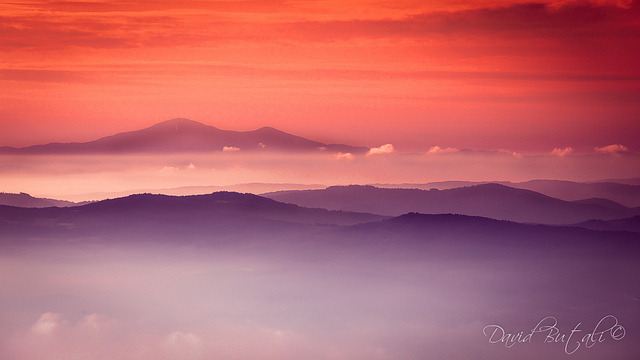 forbiddenforrest:  untitled by David Butali on Flickr.
