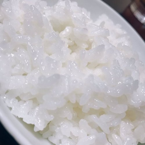 長谷川玲奈さんのツイート: つやつや #新潟米 #新米 本当に美味しすぎたァーー お米好きだァァ～ 新潟県民本当にお米の美味しい美味しくないわかると思う t.co/Dkay0XlxyL