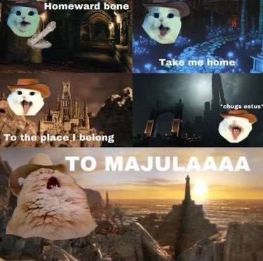 Not Just Me Spamming Meme And Taking All The Tags