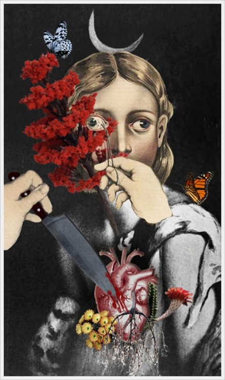 muscavomitoria:By Lv Lugosi.