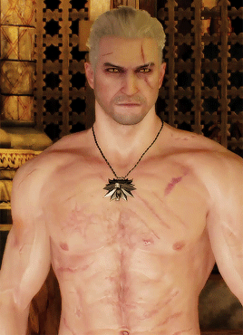 THE WITCHER 3: Wild Hunt (2015) Geralts Scars