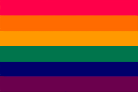 flagsforurgaydads:gay pride flag but i made the colors ones i like more