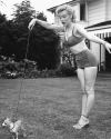 happyheidi:Marilyn Monroe + Borzoi’s <3 and more  🐕 