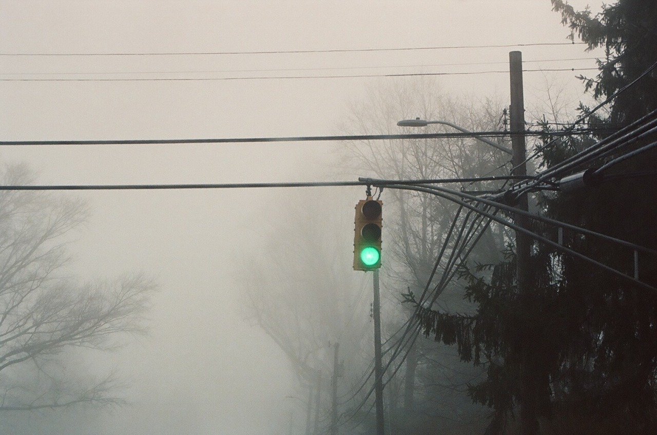 blobdylan:from a foggy february first2/1/2020
