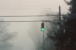blobdylan:from a foggy february first2/1/2020