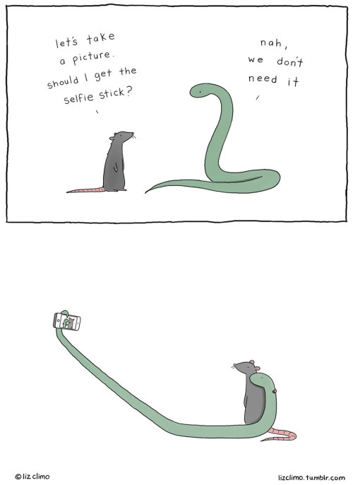 88floors:  Animal Friends by Liz Climo  I like it