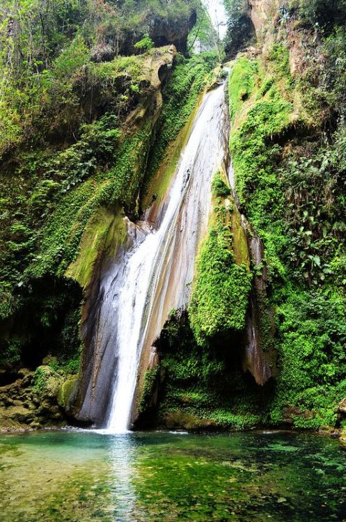 turtle-tides:  heroinsight:   Cascada el Chuveje, Queretaro, Mexico, by Frenchop  jungle/tropical bl