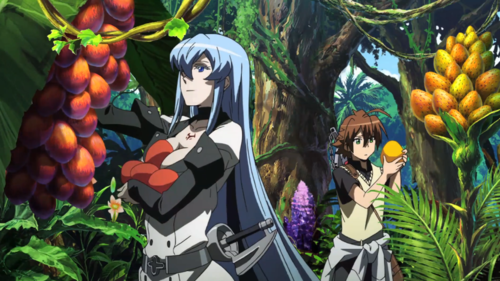 Akame ga Kill! Review  The Pantless Anime Blogger