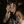archicide:  &ldquo;we almost dated&rdquo; is such a weird relationship to