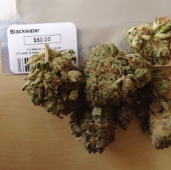 andrewallenmoore:  Never had this beautiful strain before , Blackwater OG kush ( mendo purps x SFV ogkush) #dontforgettheflowers 