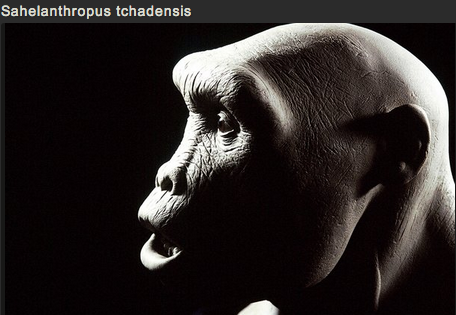 sixpenceee:  SCULPTING HUMAN EVOLUTION  Paleoartist Elisabeth Daynès is reconstructing human evolution through her sculptures. The sculptures above are in no particular order.  You can view more pictures and get more information here
