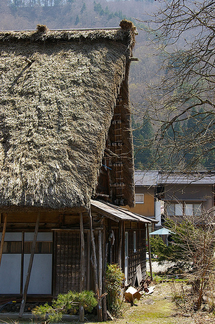  Straw for roof