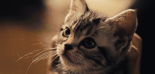 I Dare You Not To Love Me