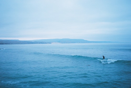 the-ocean-paradise:  pure ocean