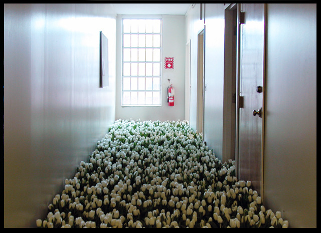 dappledandmisty:  afarewelltostellablue:  punk-arts:  28,000 Potted Flowers Installed