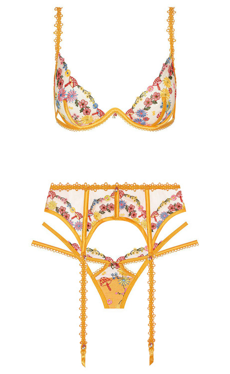 placedeladentelle:Meadow by For Love and Lemons / 30-38 A-DD