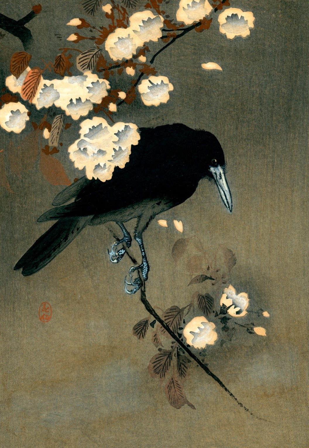 klassizismus:Crow and blossom, 小原 又雄 Ohara Koson, 1910