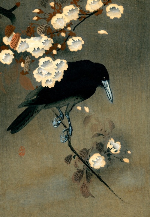 klassizismus:Crow and blossom, 小原 又雄 Ohara Koson, 1910