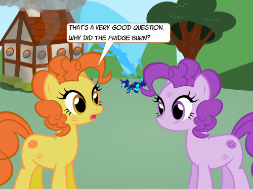 askthecookies:  [Staring Intensifies]  Meeps!