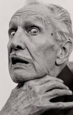 lottereinigerforever: Vincent Price by Herb